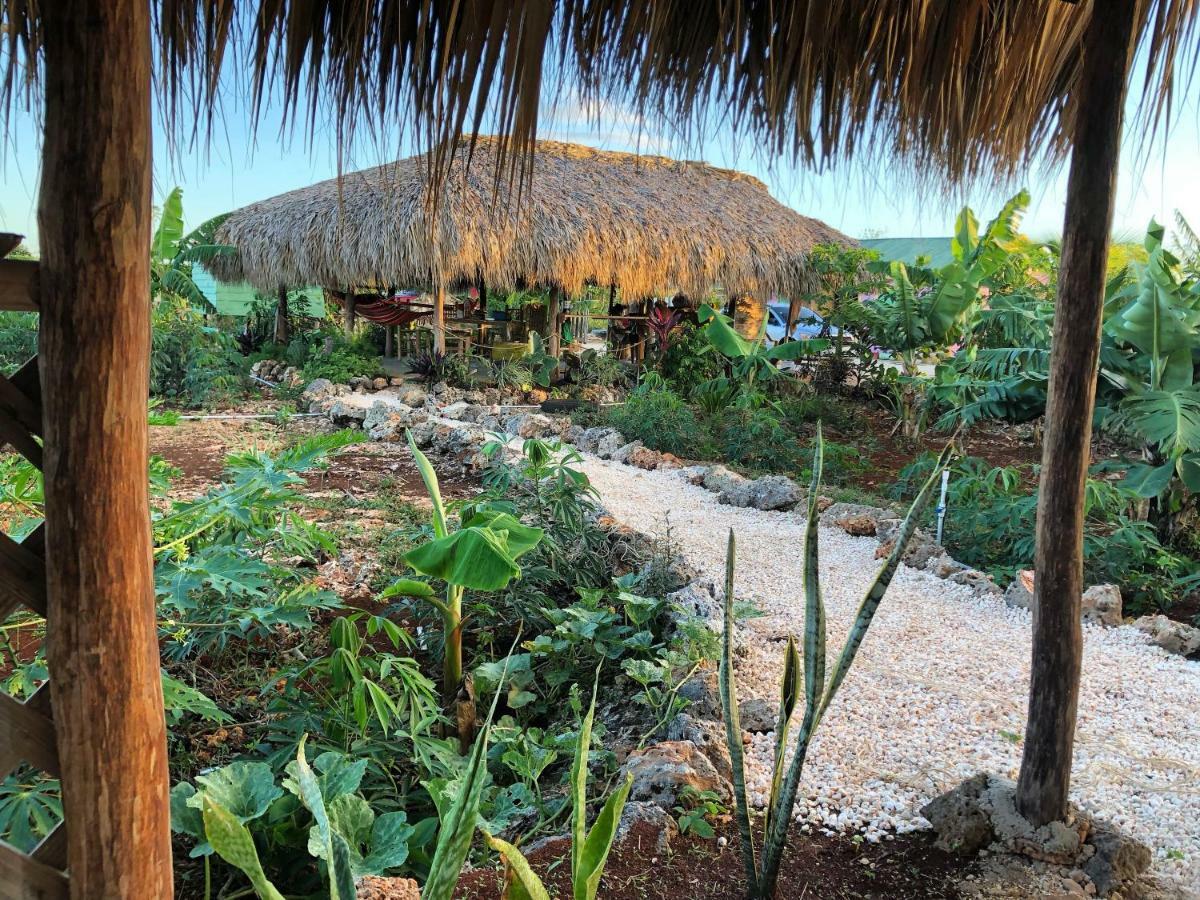 Guaiguei Bayahibe Villa Exterior foto